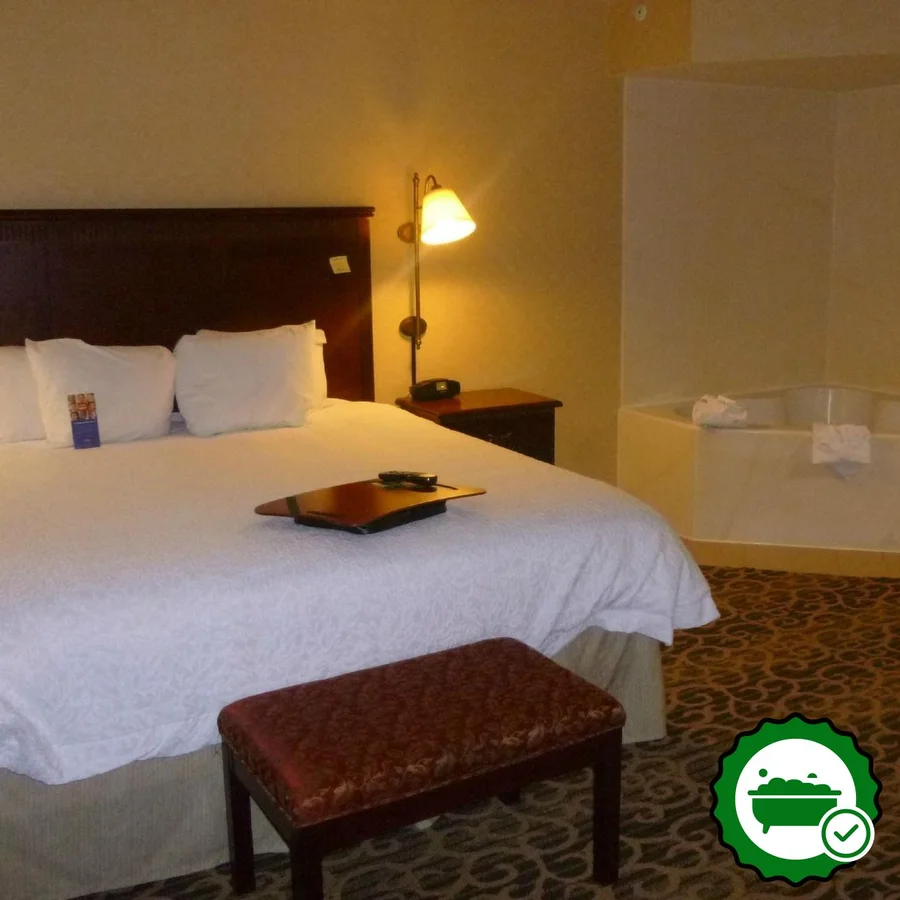Hampton Inn Salt Lake City-Downtown - Verified Jacuzzi In-Room