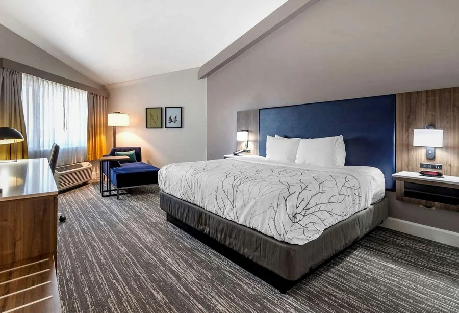 Best Western Premier Denver East - Guest Room image