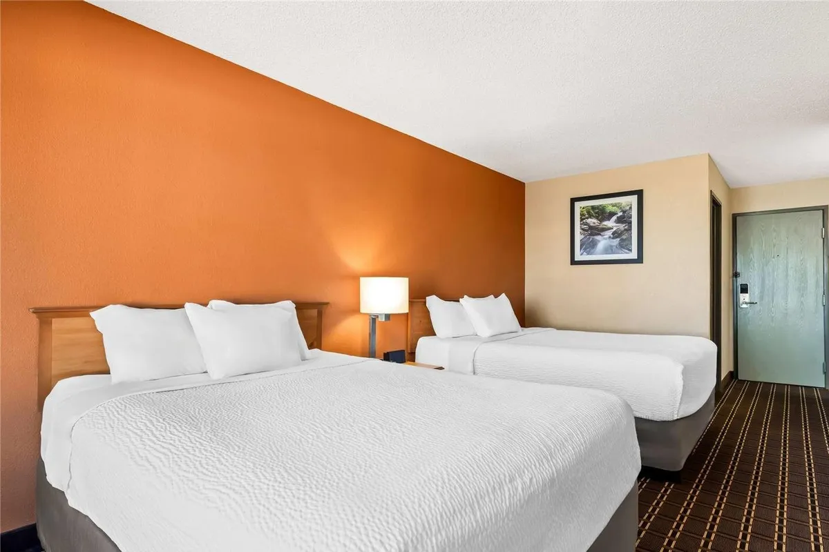 Days Inn by Wyndham Black River Falls - Guest Room image