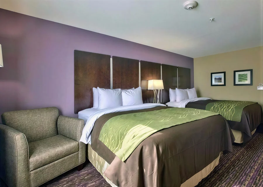 Comfort Inn & Suites Dothan East - Guest Room image