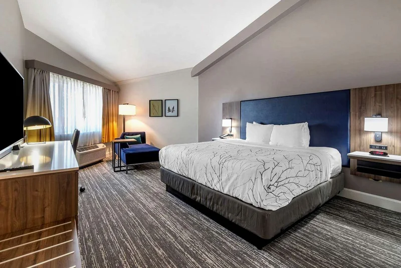 Best Western Premier Denver East - Guest Room image