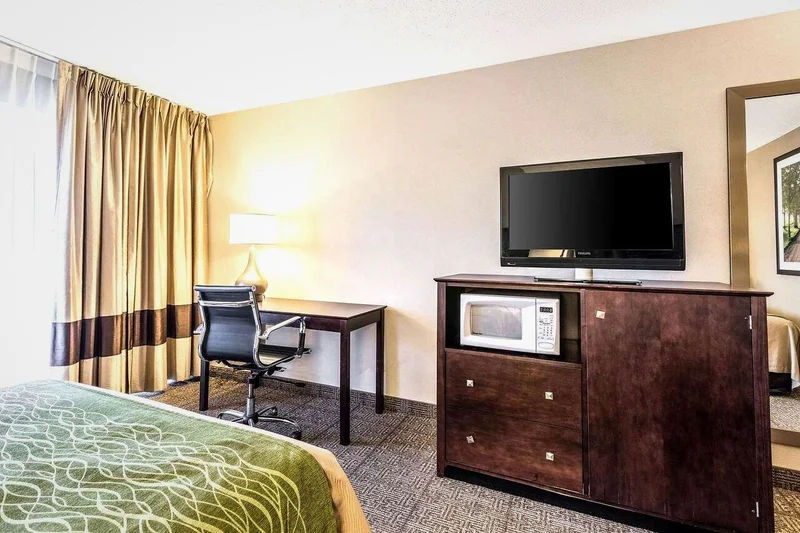 Comfort Inn - Guest Room image