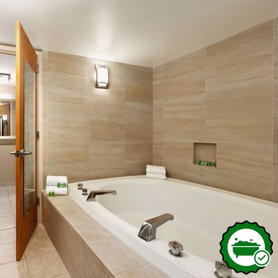 Holiday Inn Washington-Dulles Intl Airport, an IHG hotel - Verified Jacuzzi In-Room