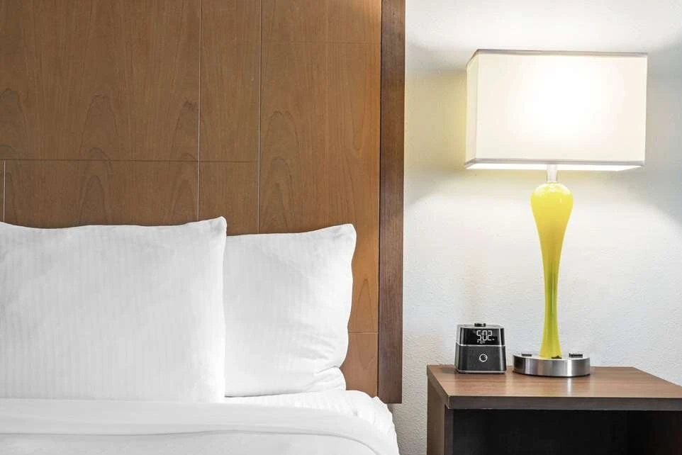 La Quinta Inn & Suites by Wyndham Brownsville North - Guest Room image