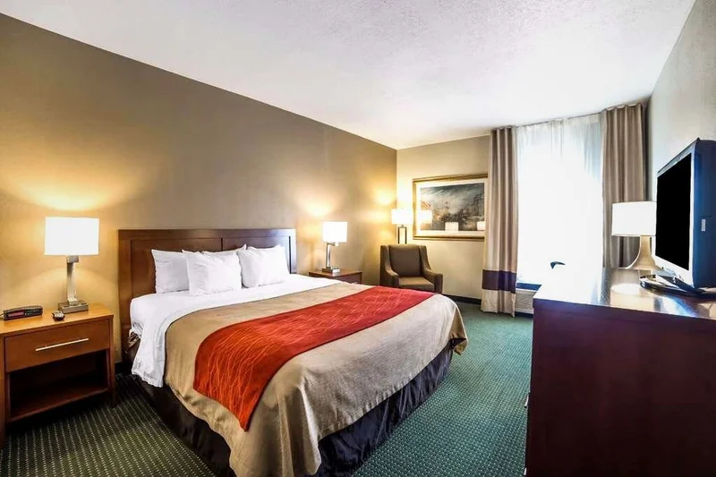 Quality Inn - Guest Room image