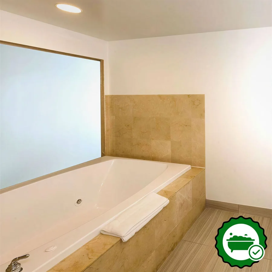 Hilton Garden Inn Jacksonville Airport - Verified Jacuzzi In-Room
