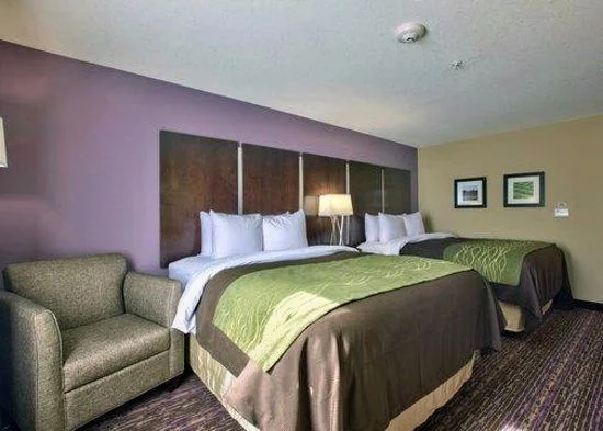 Comfort Inn & Suites Dothan East - Guest Room image