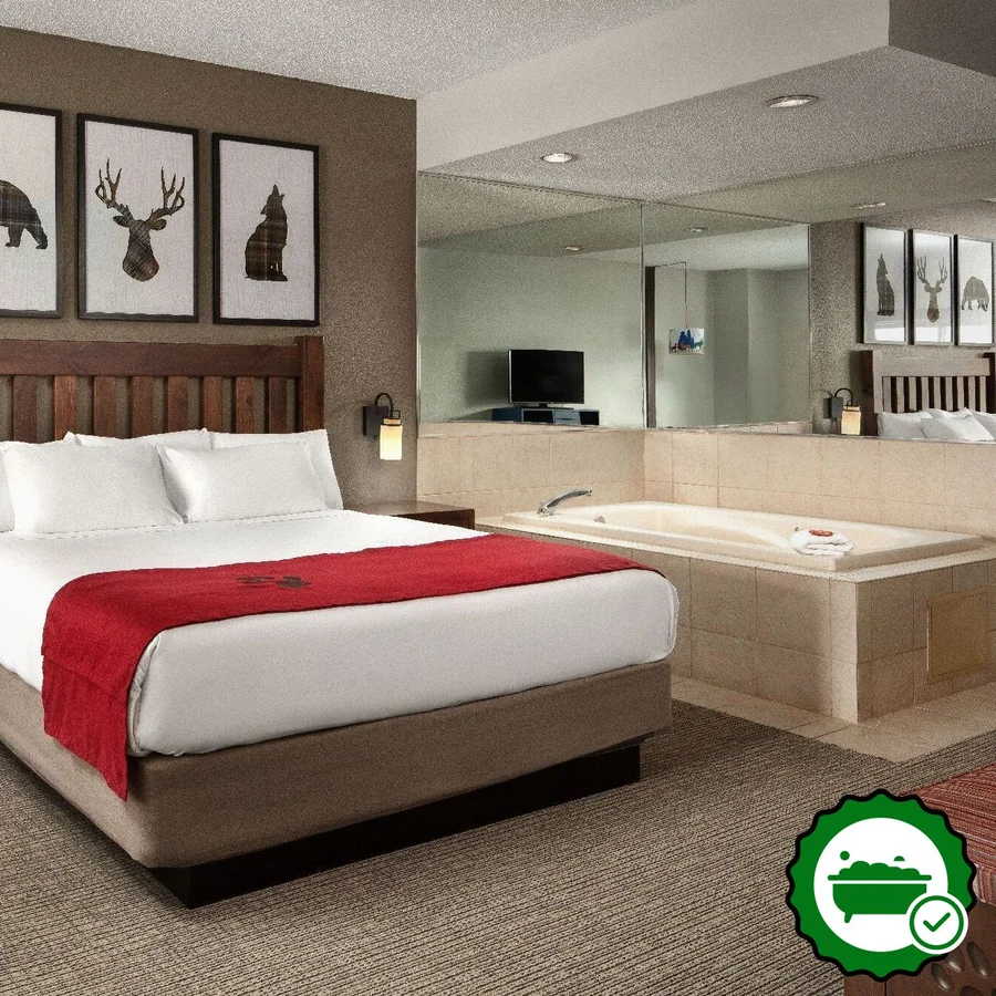 Great Wolf Lodge - Grapevine, TX - Verified Jacuzzi In-Room
