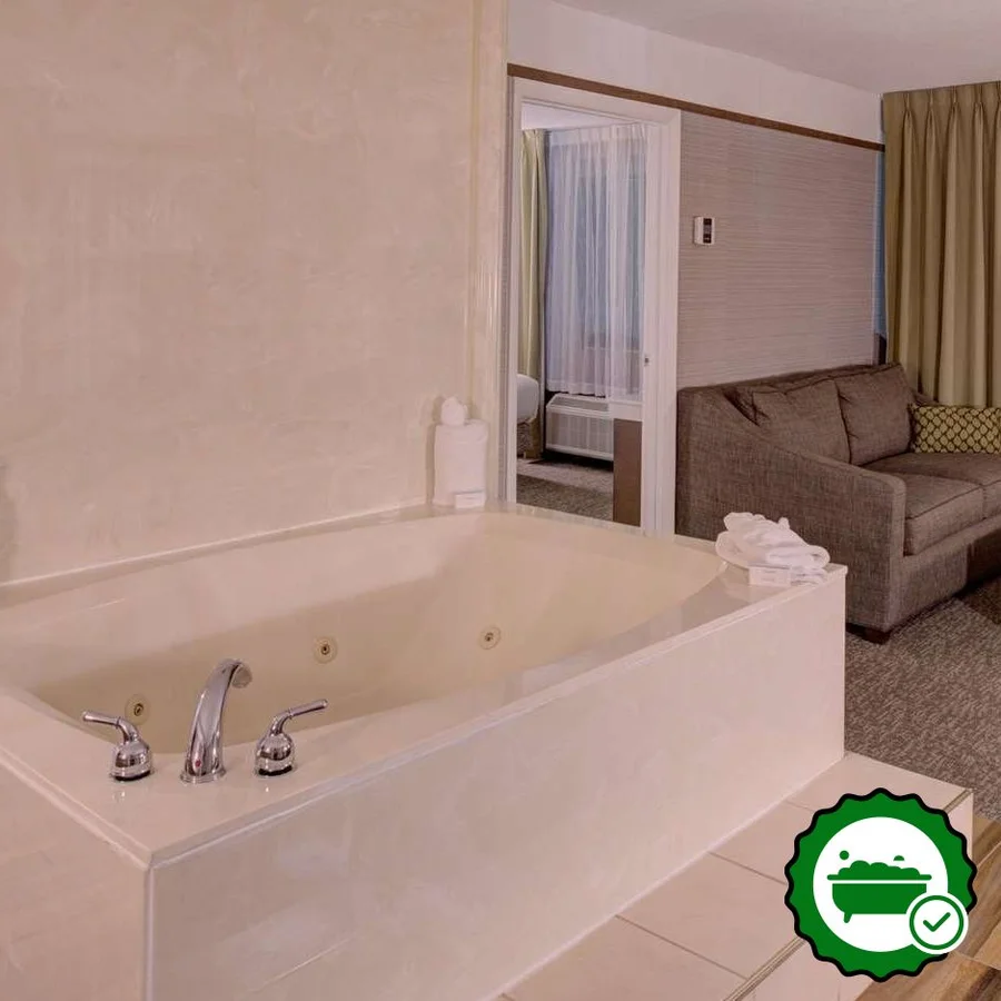 Hilton Garden Inn Detroit-southfield, Mi. - Verified Jacuzzi In-Room
