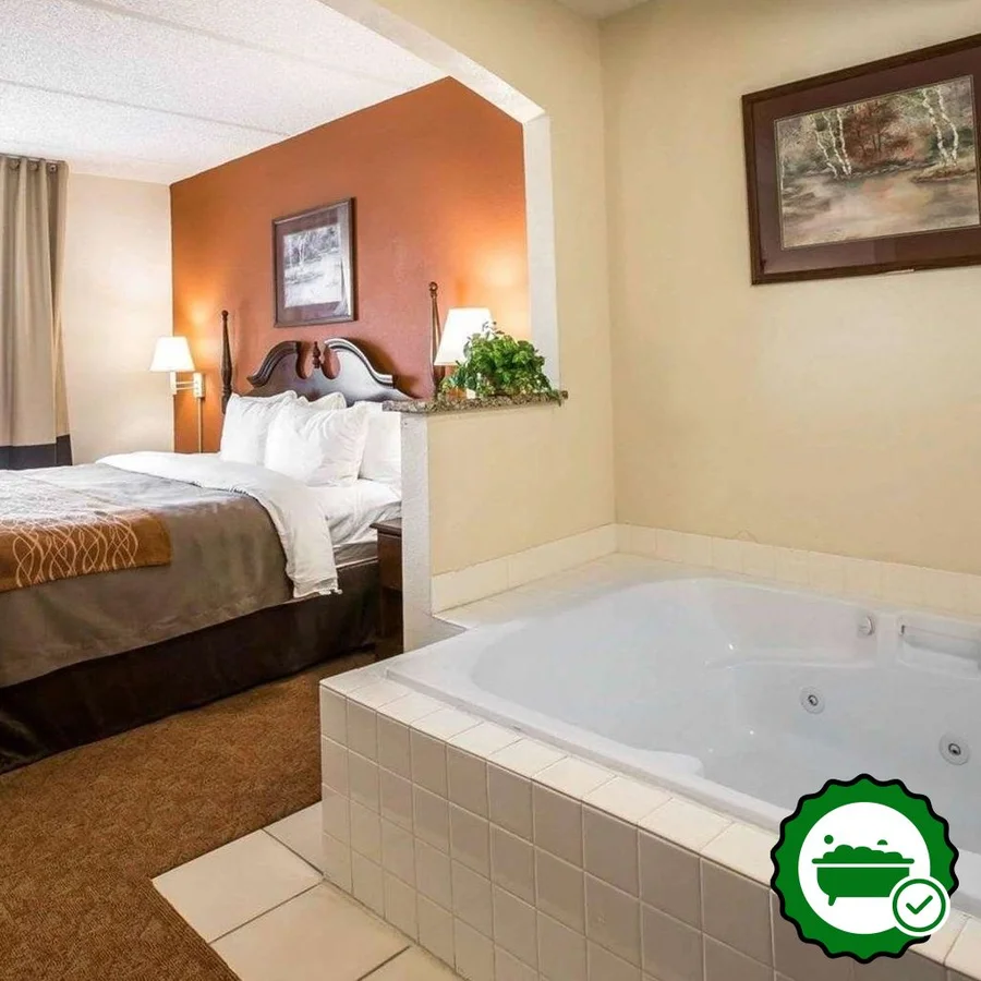 Comfort Inn & Suites at I-85 - Verified Jacuzzi In-Room