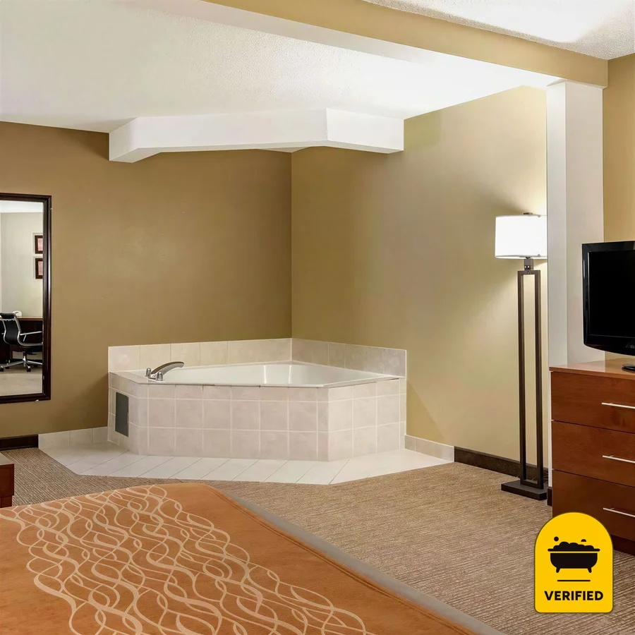 Comfort Inn & Suites Suwanee - Sugarloaf, the water at Suwanee