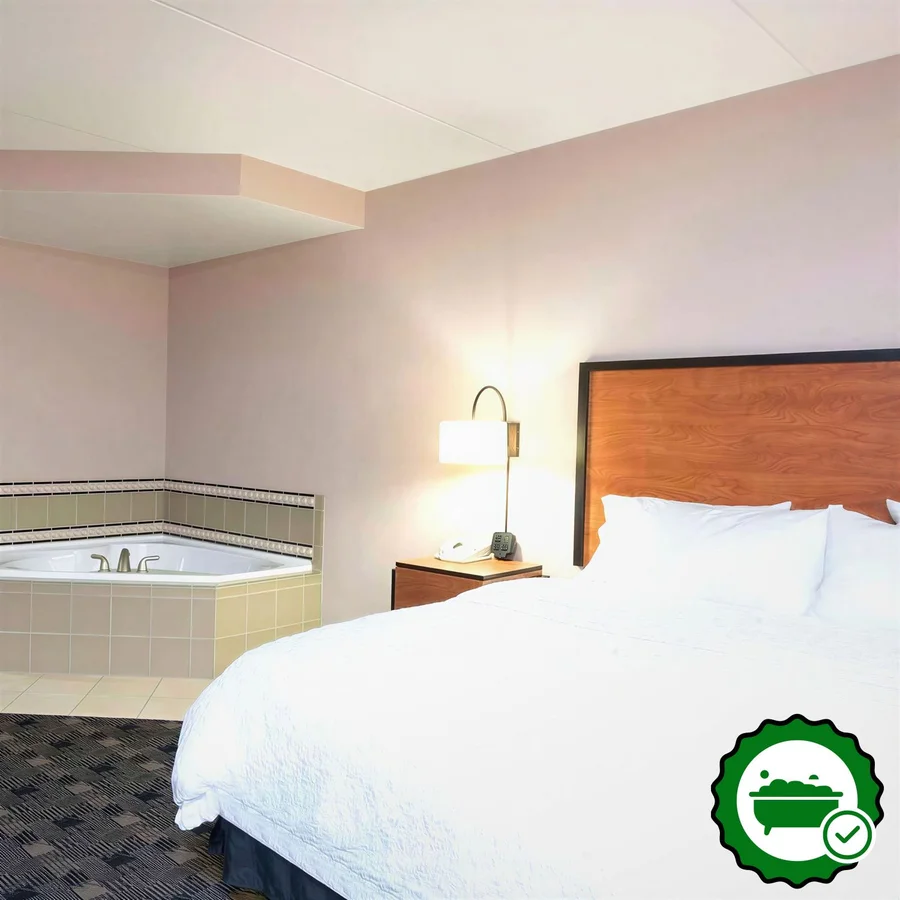 Hampton Inn & Suites Indianapolis-Fishers - Verified Jacuzzi In-Room