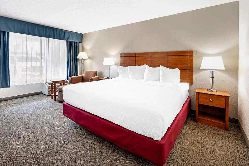 Best Western Thunderbird Motel - Guest Room image