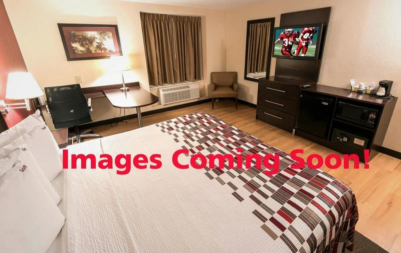 Red Roof Inn Sutton - Guest Room image