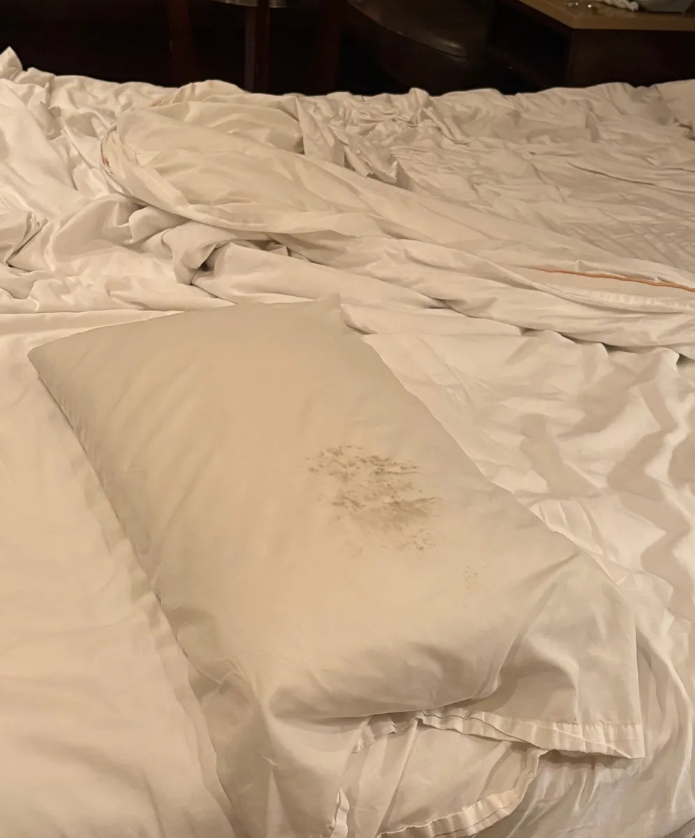 Champagne Lodge and Luxury Suites - Guest Room image