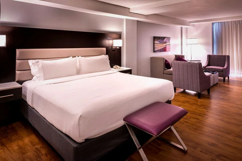 Holiday Inn & Suites Beaumont-Plaza (I-10 & Walden), an IHG hotel - Guest Room image