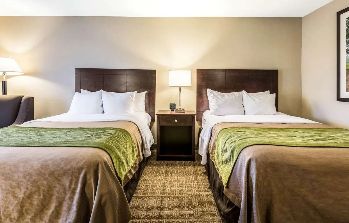 Comfort Inn - Guest Room image