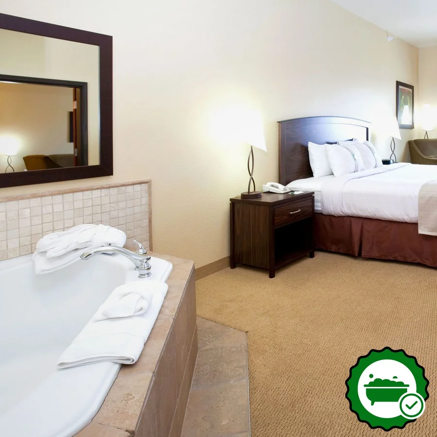 Holiday Inn Denver-Parker-E470/Parker Rd - Verified Jacuzzi In-Room