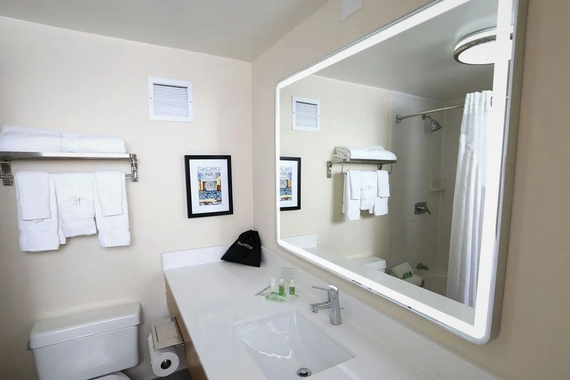 Holiday Inn & Suites Chicago North Shore (skokie) By IHG - Featured hot tub